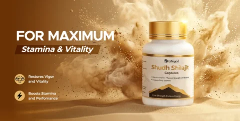 shilajit for men health