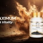 best shilajit capsules in India