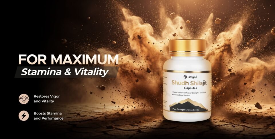 best shilajit capsules in India